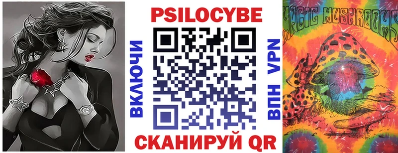 Галлюциногенные грибы Psilocybe  Купить закладки  Белогорск 